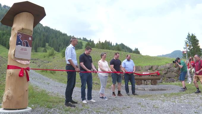 Joel-Wicki-Weg: Schwingerkönig wird in der Heimat geehrt