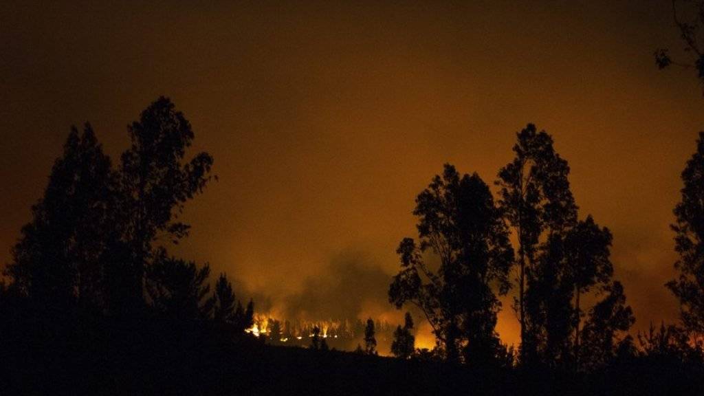 Über 450 Quadratkilometer Fläche standen in der Region O'Higgins südlich von Chiles Hauptstadt Santiago in Flammen.