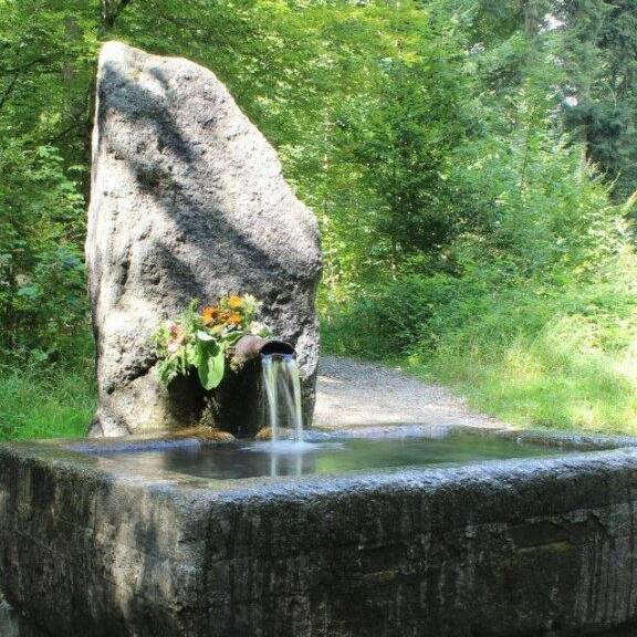 Wasser aus Glasbrunnen wieder trinkbar