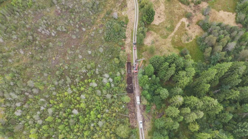 Hochmoor in Hasle droht auszutrocknen - jetzt kommt Hilfe
