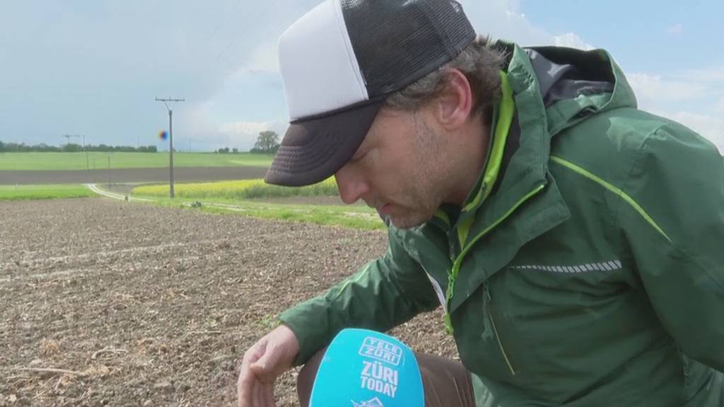 Schnee und Folgen für die Landwirtschaft