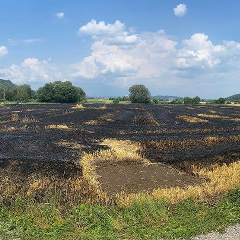 110 Aren verkohlt – Gerstenfeld brennt vor Ernteabschluss ab