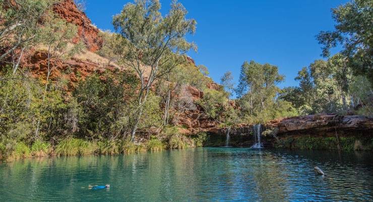 GregSnell-Fern-Pool-Karijini-National-Park_feature