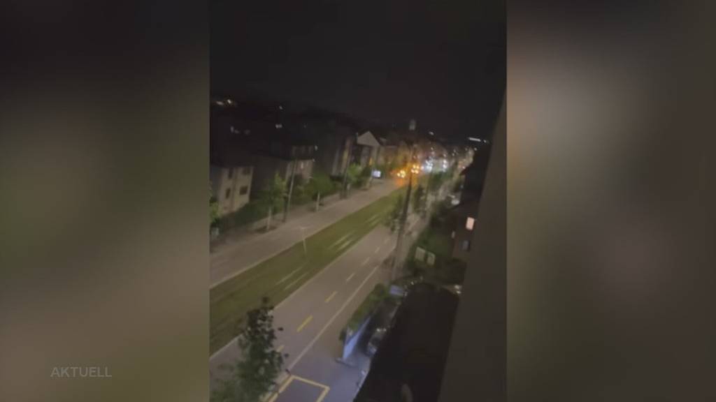 Tötungsdelikt in Dietikon: Opfer und Täter stritten sich oft