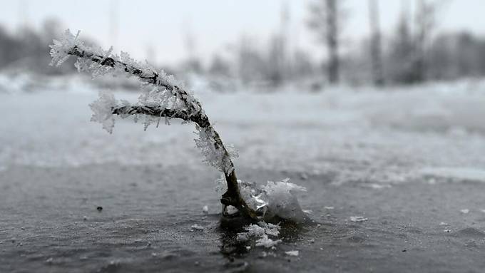 Das war die bisher kälteste Nacht in diesem Winter