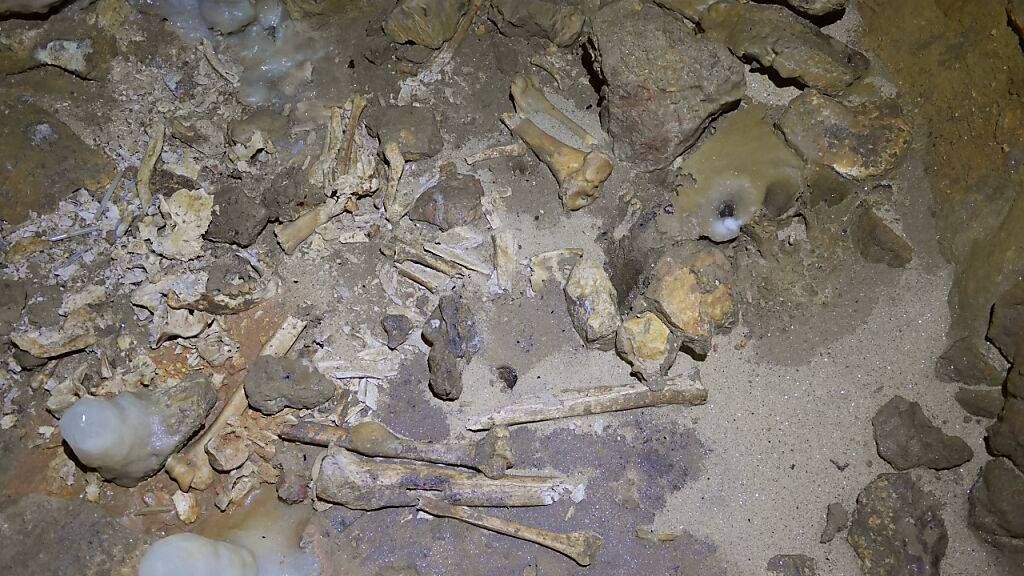 Fussabdrücke und Knochen: Grosse Grabhöhle in Frankreich entdeckt