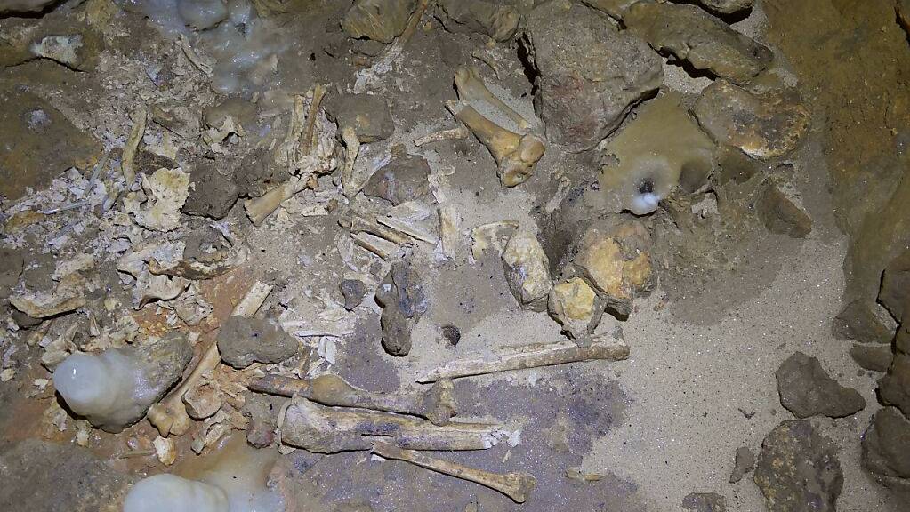 Menschen- und Tierknochen in der neu entdeckten bronzezeitlichen Höhle nahe La Rochefoucauld-en-Angoumois. Es handelt sich um eine der grössten bisher gefundene prähistorische Grabstätten im an solchen Stätten reichen Frankreich (Pressebild).