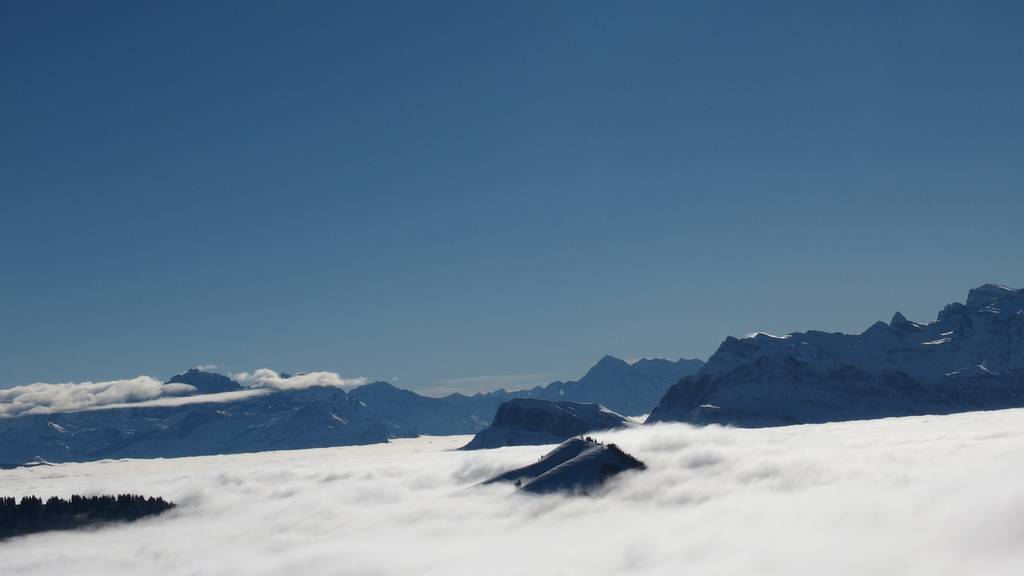 Nebelmeer von Rigi Kulm aus