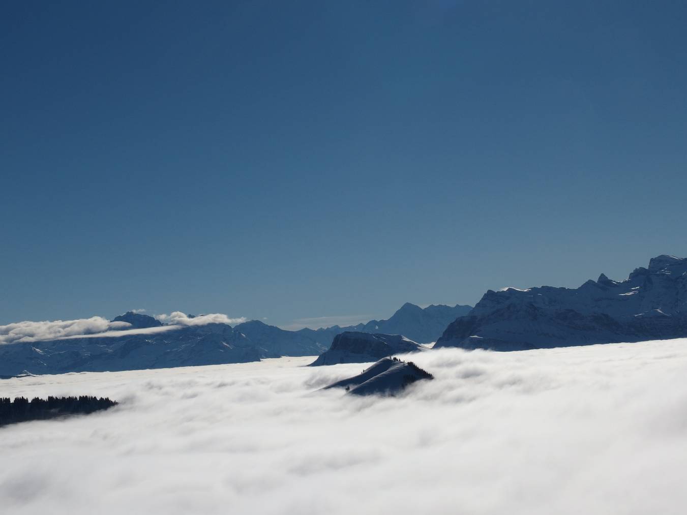 Nebelmeer von Rigi Kulm aus