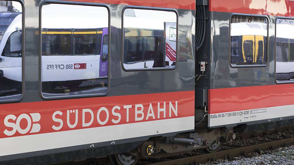 Die Schweizerische Südostbahn ist in den vergangenen Jahren stark gewachsen. (Symbolbild)