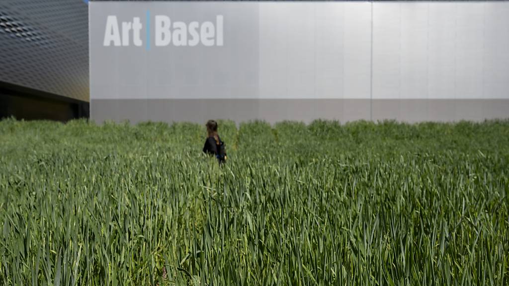 Die Installation «Honouring (Wheatfield - A Confrontation)» der US-Amerikanerin Agnes Denes empfängt die Besucherinnen und Besucher der Art Basel.