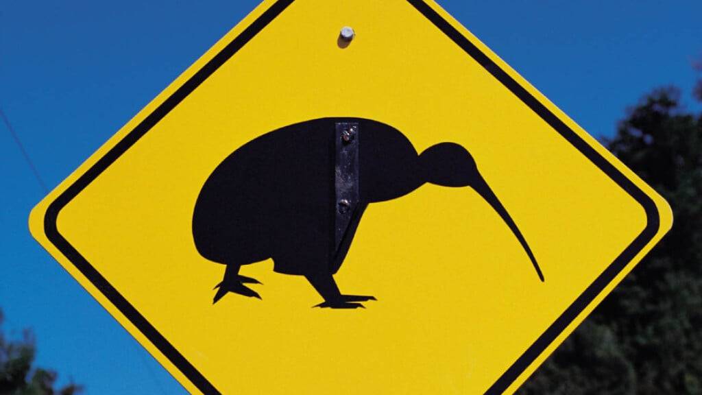 Kiwi-Vögel kommen nur in Neuseeland vor. (Archivbild)