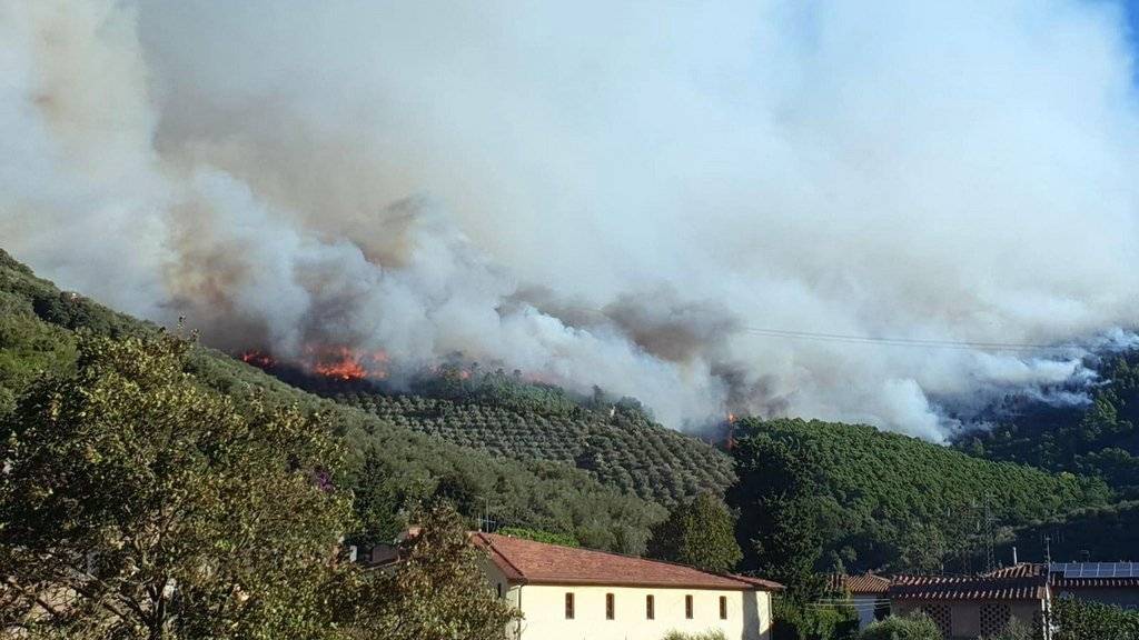 Der Wald brennt in Calci nahe Pisa.