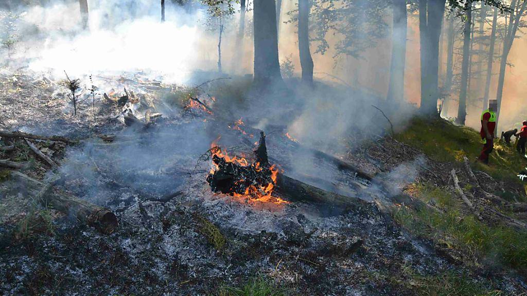 Der Waldbrand in Kleinlützel SO forderte die Feuerwehren: Das Waldstück liegt in einem schwer zugänglichen Gebiet.