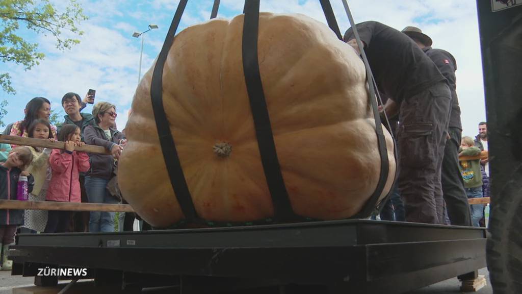 Schweizermeisterschaft im Kürbiswiegen