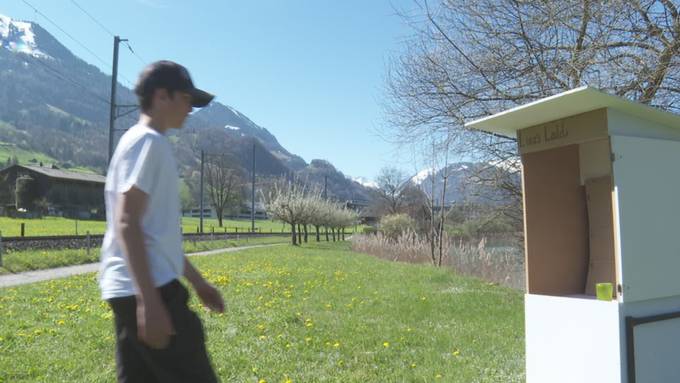 Diebe räumen Fischerlädeli von 13-Jährigem aus