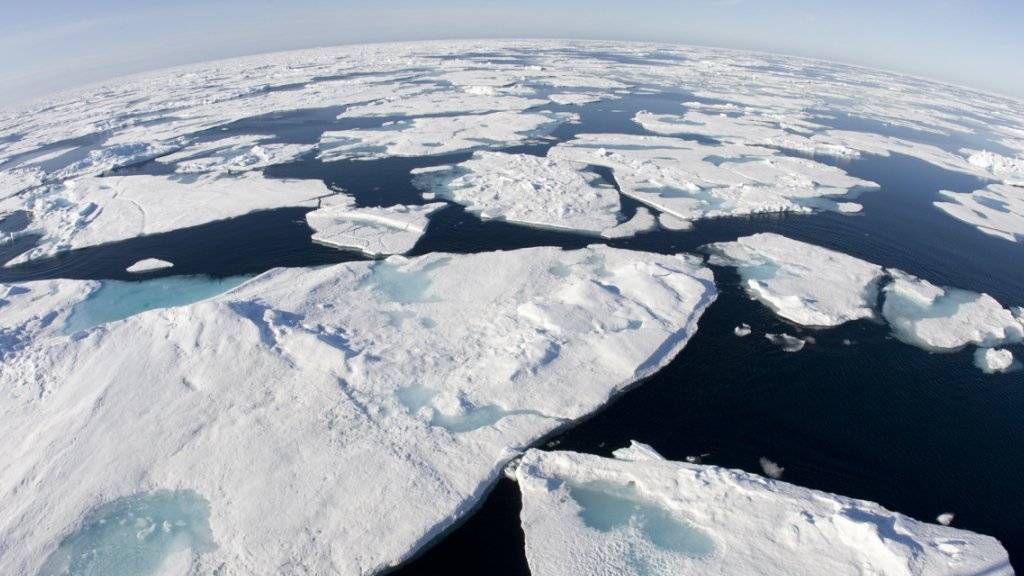 Grosse Eisschollen aus der Arktis vor der kanadischen Küste (Archiv)