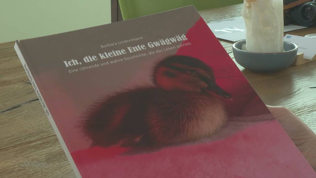 Von Hand aufgezogen: Barbara Lindenmann sucht Ente «Gwägwäg», welche sie im Hallwilersee auswilderte