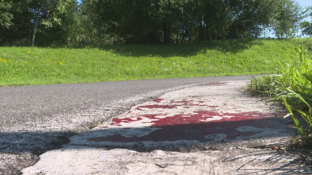 8-jähriger Töfffahrer aus Flawil träumt vom grossen Wurf