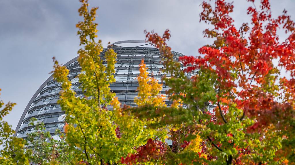 Rot, gelb und grün sind die Ahornblätter an den Bäumen vor dem Deutschen Bundestag gefärbt. Foto: Michael Kappeler/dpa