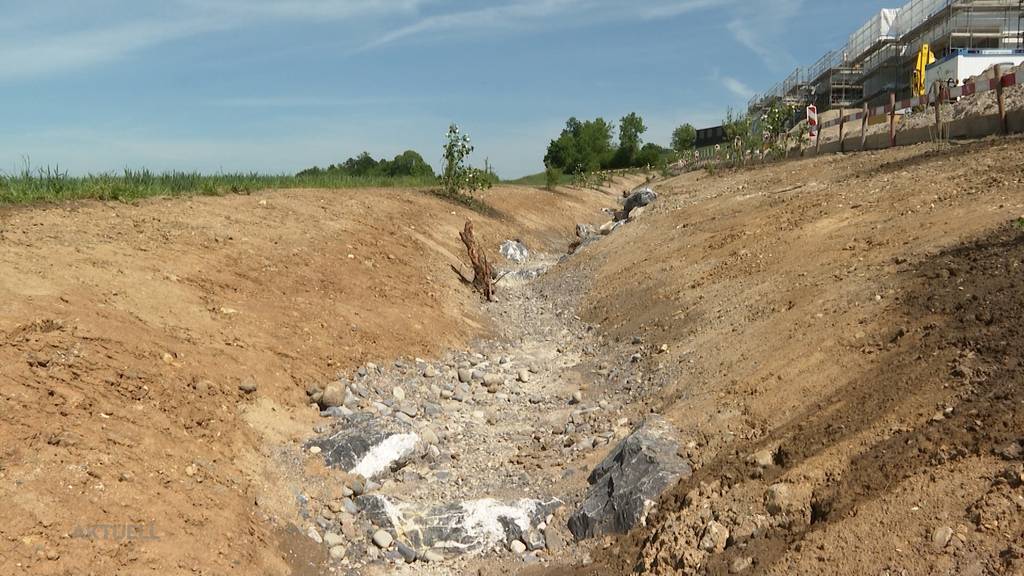 Zufikon: Renaturierung eines Baches sorgt bei den Anwohnern für Gesprächsstoff