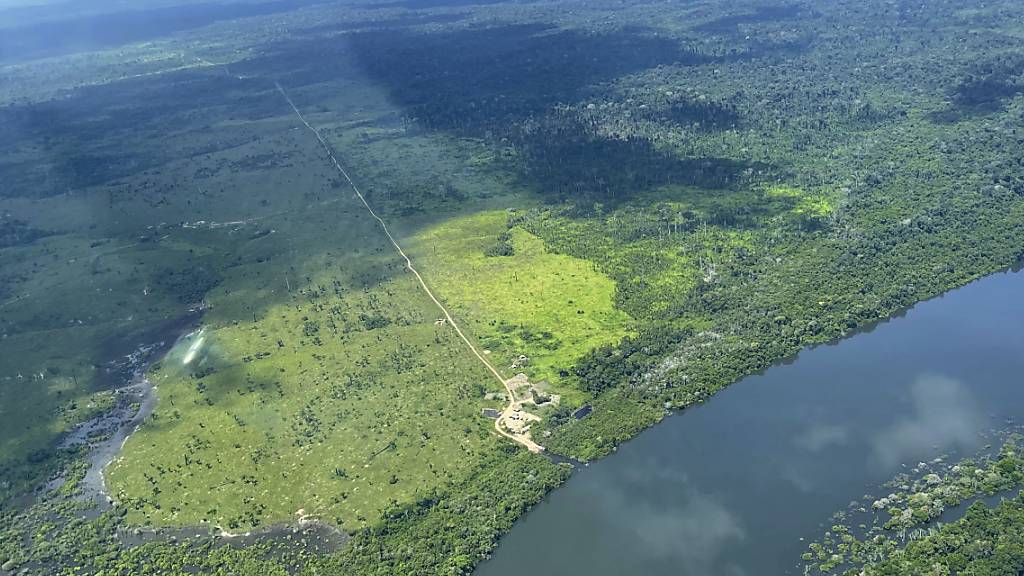 Im brasilianischen Amazonas-Regenwald ist der letzte Überlebende eines Indigenen-Stammes nach mehr als 25 Jahren in vollständiger Isolation gestorben. (Archivbild)