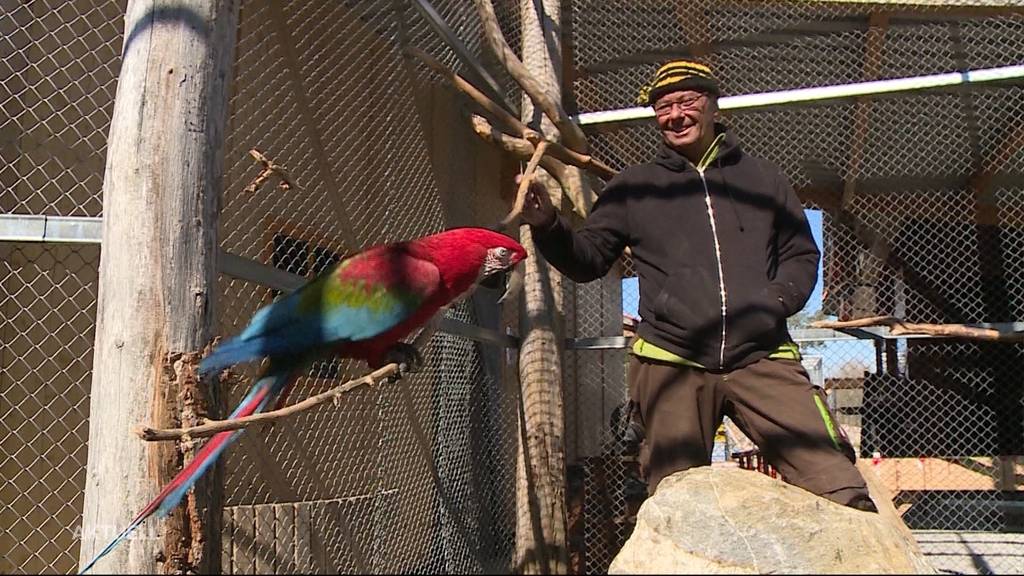 Vogelpark steht vor dem Nichts