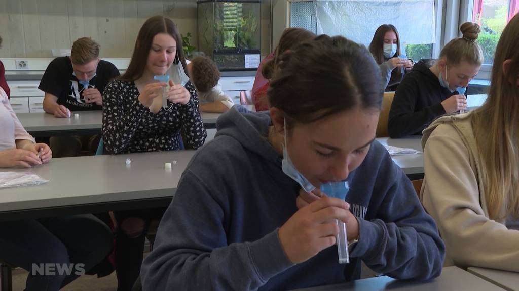 Start von Massentest an Berner Schulen: Thuner Gymnasiasten begrüssen das regelmässige Spucken