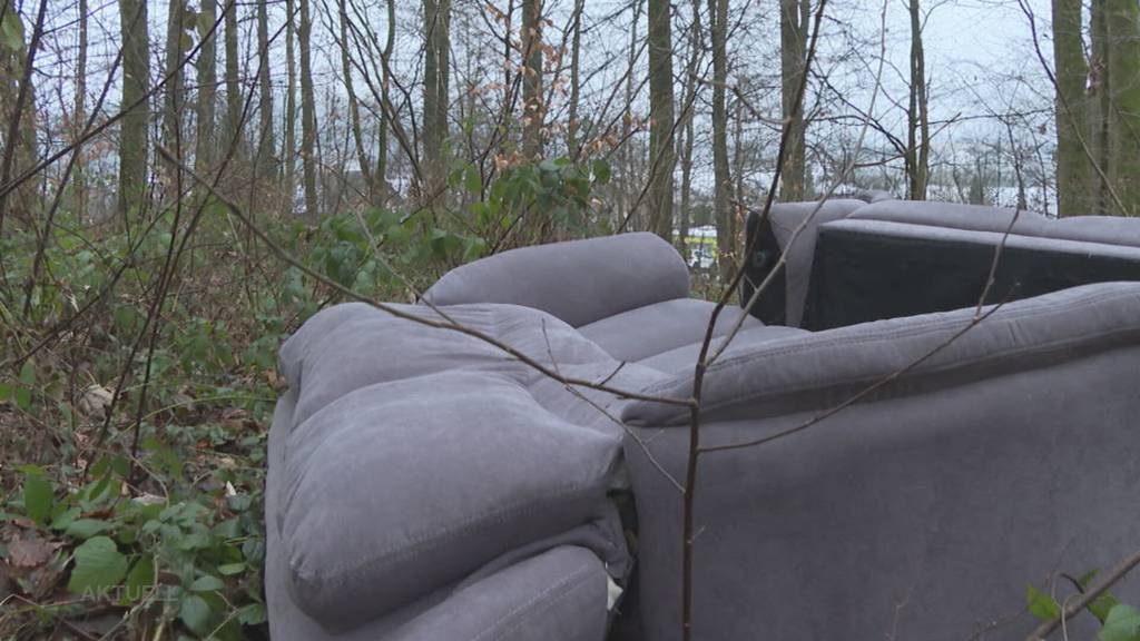 Illegal: Im Oftringer Langernwald entsorgte jemand den halben Haushalt