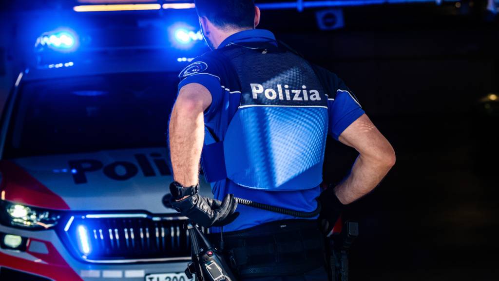 Ein Mann wurde am Sonntagabend am Bahnhof Bellinzona durch einen Stromschlag aus der Fahrleitung tödlich verletzt. (Symbolbild)