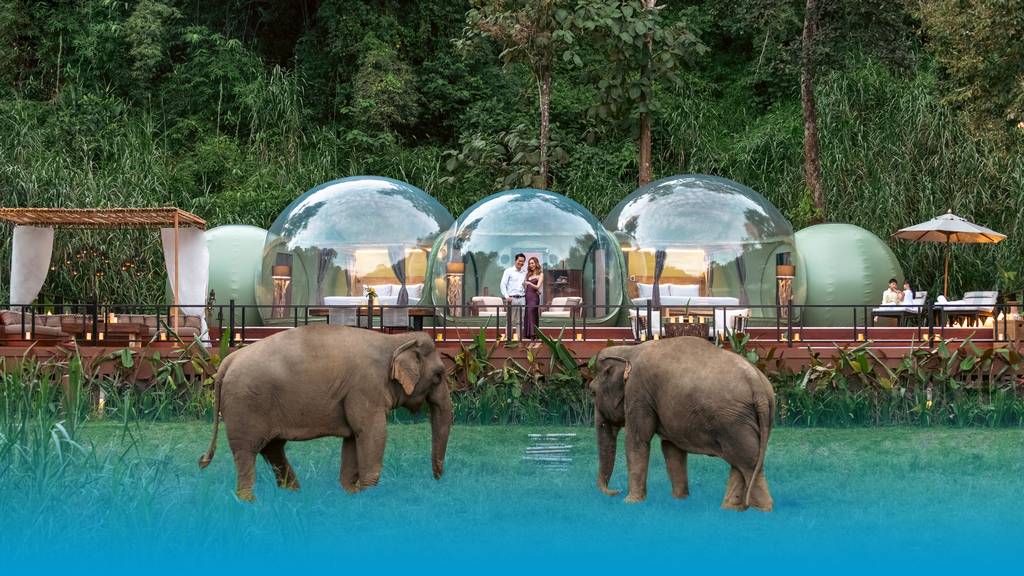 Übernachte mit Elefanten unter den Sternen Thailands