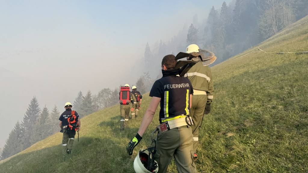 Waldbrand in Österreich scheint unter Kontrolle