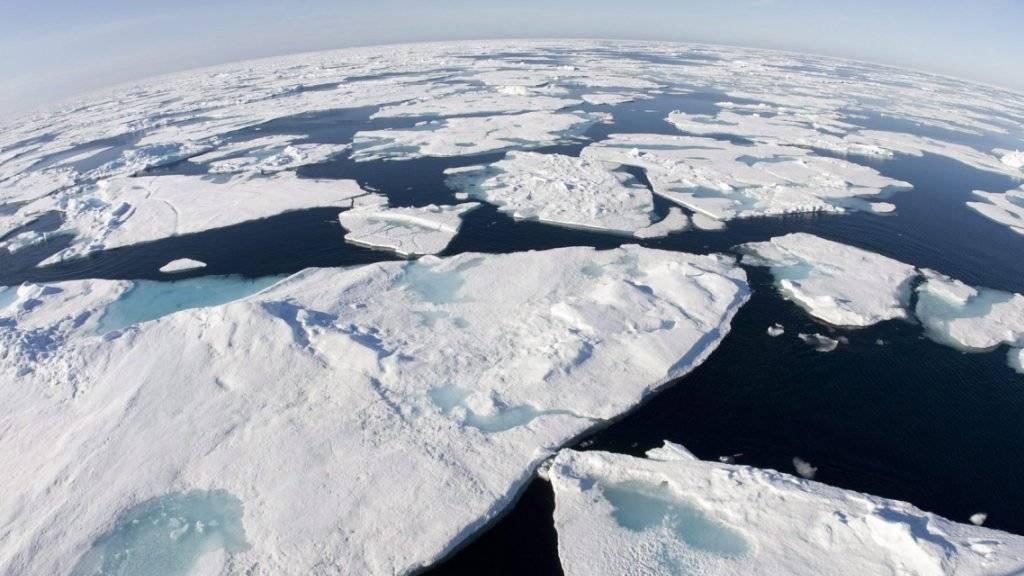Eisberge in der Baffin Bay: Die Durchschnittstemperatur in der Arktis war im vergangenen Jahr so hoch wie noch nie seit Beginn der Messungen. (Archivbild)