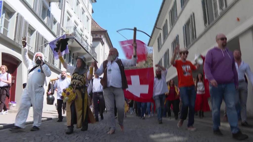 Trotz Verbot: 4000 Corona-Demonstranten in Rapperswil-Jona