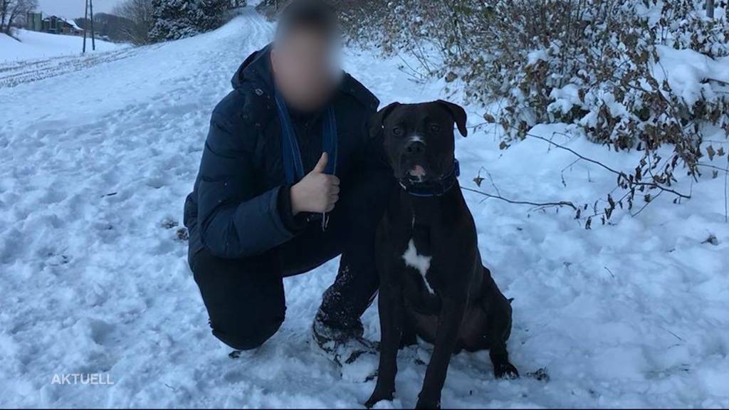 Nach tödlicher Attacke: Pitbulls beschlagnahmt