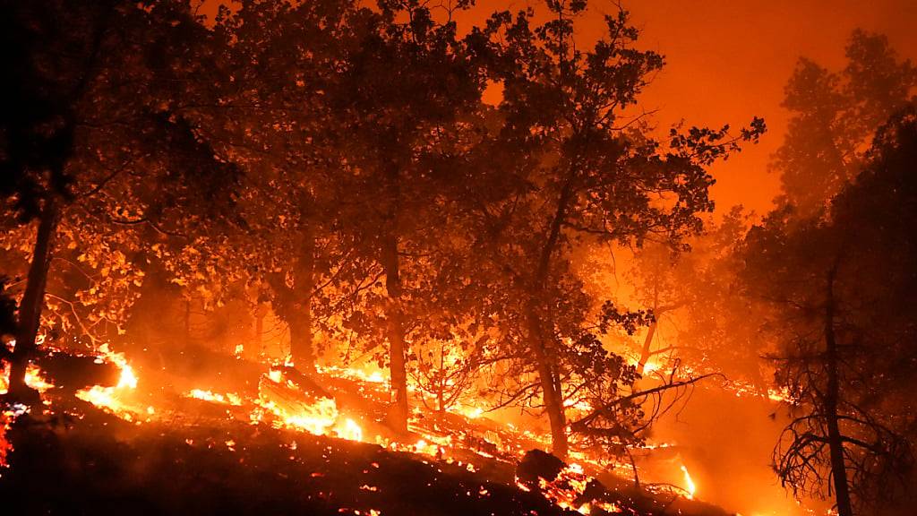 Das Bridge Fire brennt in der Nähe von Häusern in Wrightwood. Foto: Jae C. Hong/AP/dpa