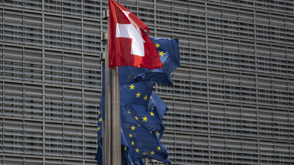 Vertragspaket als einzig gangbarer Weg für Beziehungen Schweiz-EU