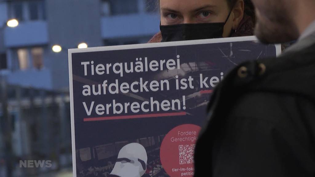 Tierschutz-Aktivist Tobias Sennhauser vor Gericht: Anklage wegen Hausfriedensbruch und Tierquälerei