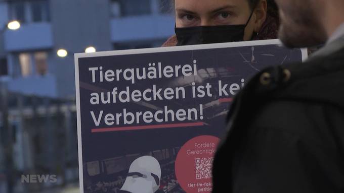 Tierschutz-Aktivist Tobias Sennhauser vor Gericht: Anklage wegen Hausfriedensbruch und Tierquälerei