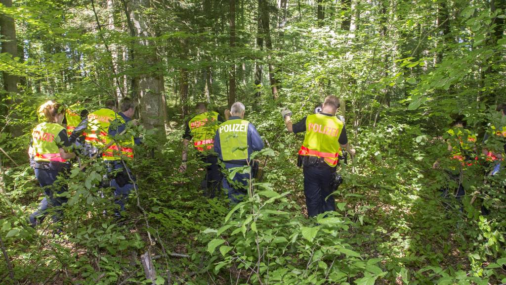 Einsatzkräfte der Kantonspolizei Thurgau durchsuchen das Waldstück nach Hinweisen.