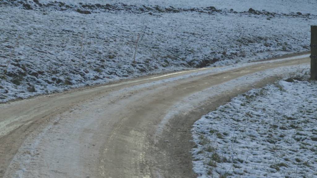Missliche Lage: In Bärschwil gestaltet sich die Bergung eines gekippten Forstgeräts äusserst schwierig