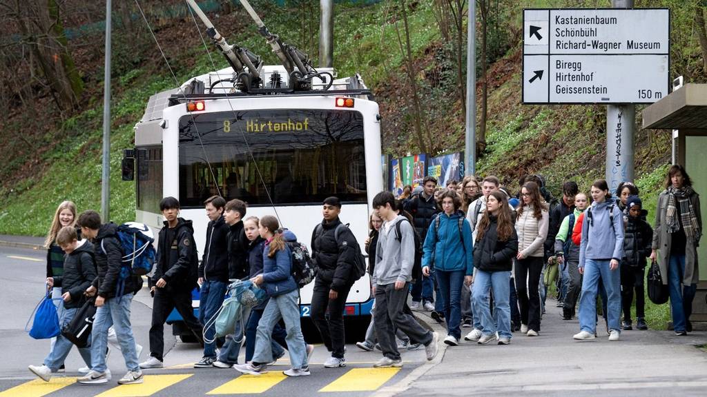 Bus Linie 8 Alpenquai Kanti