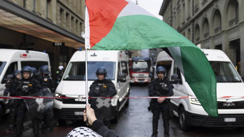 Amnesty International kritisiert Polizeigewalt an Berner Gaza-Demo