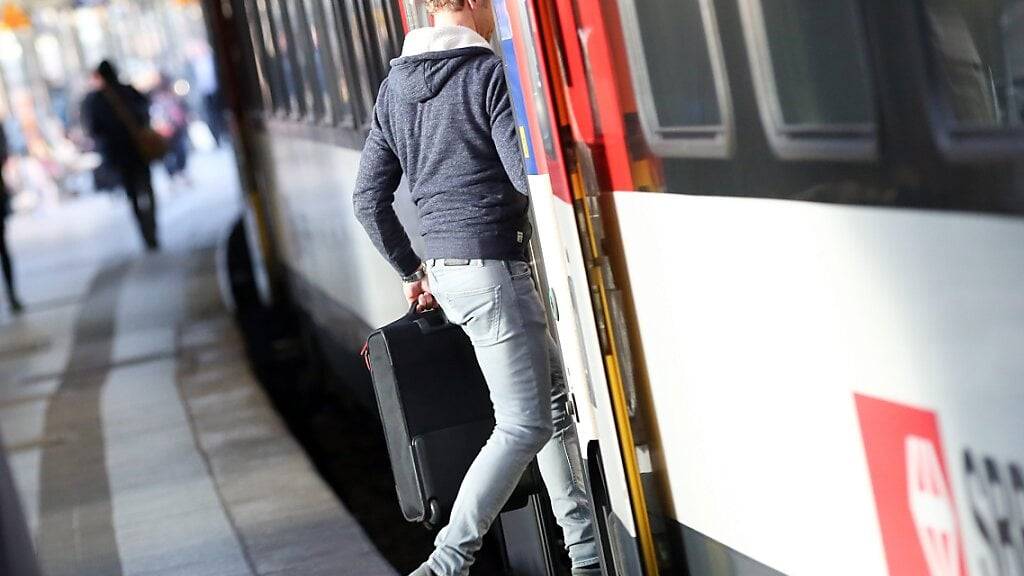 Auch grenzüberschreitende Verbindungen zwischen der Schweiz und Deutschland sind vom Bahnstreik der deutschen Lokführergewerkschaft betroffen. (Archivbild)