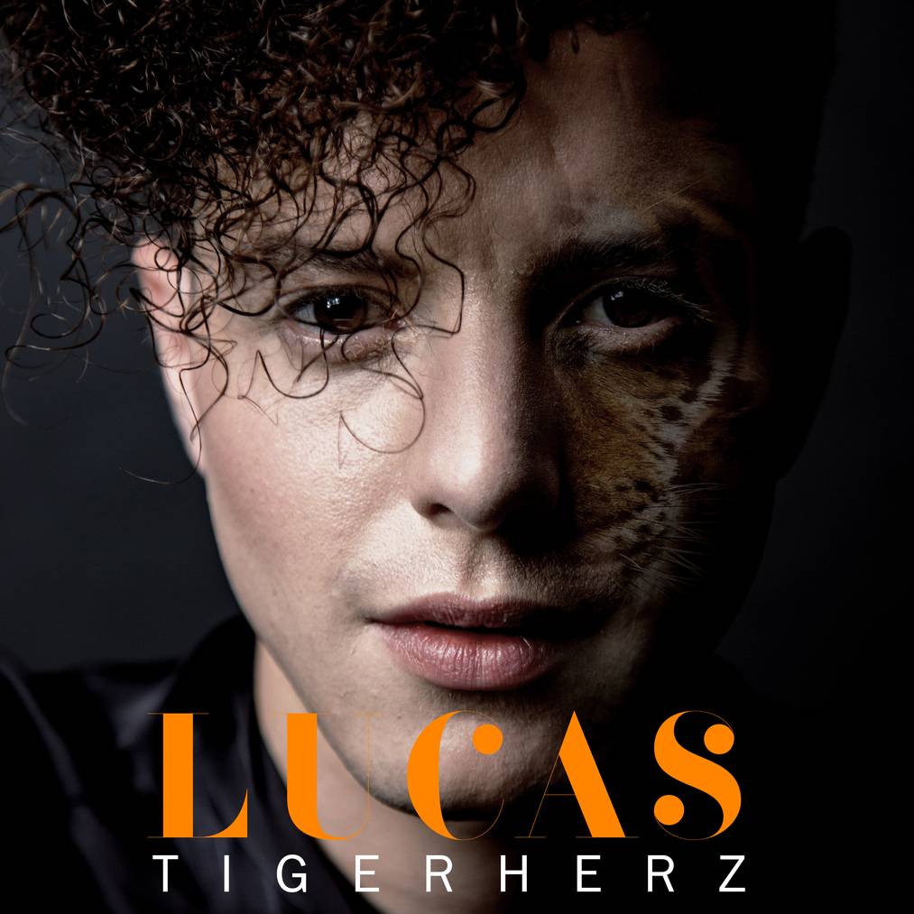 Lucas - Tigerherz