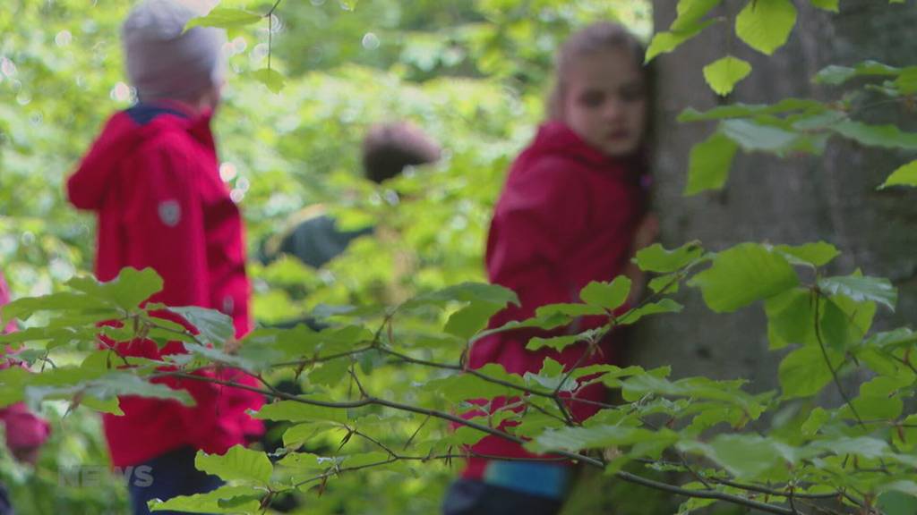 Das grüne Klassenzimmer fasziniert Schülerinnen und Schüler