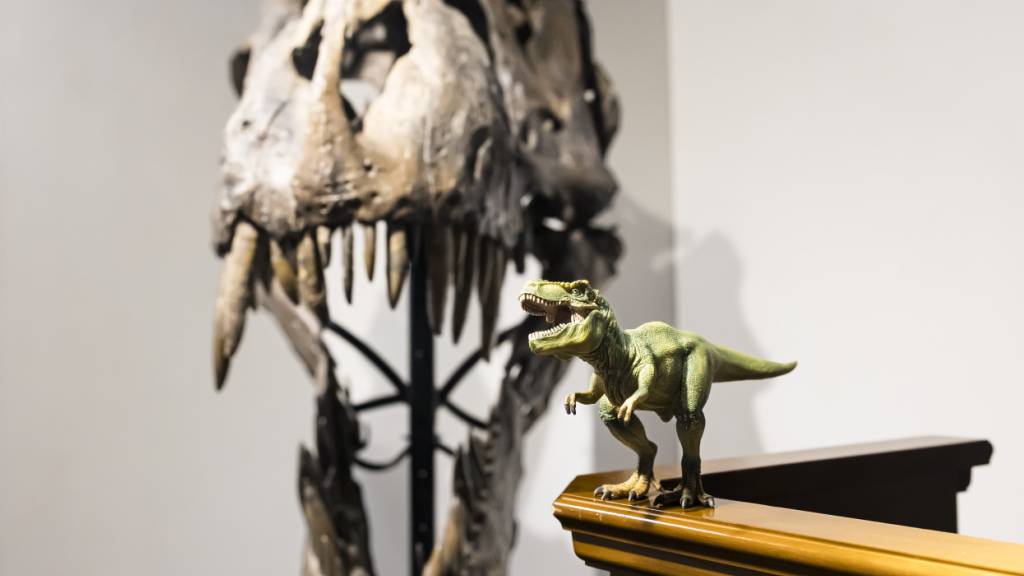 Dinosaurier gelten als Giganten. So richtig klein wurden sie aber nie. Eine neue Studie zeigt, warum. (Symbolbild)