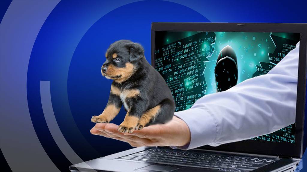 Hund per Mausklick