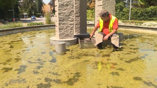 Wassermangel wird in Langenthal immer grösser