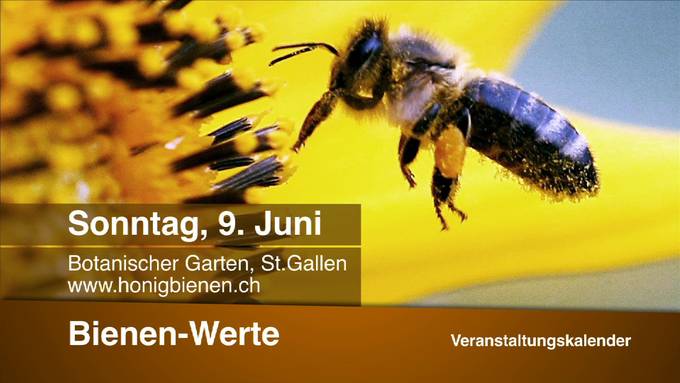 Veranstaltungskalender